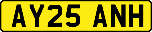 AY25ANH