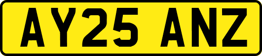 AY25ANZ