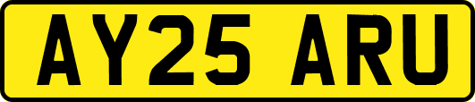 AY25ARU