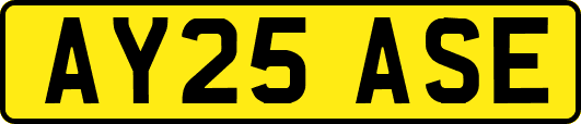 AY25ASE