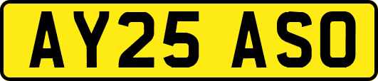 AY25ASO