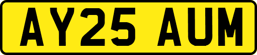 AY25AUM