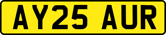 AY25AUR