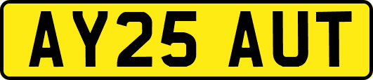 AY25AUT