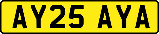 AY25AYA