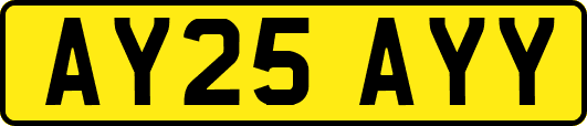 AY25AYY