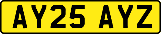AY25AYZ