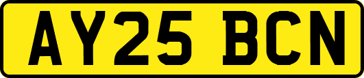 AY25BCN