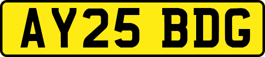 AY25BDG