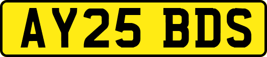 AY25BDS