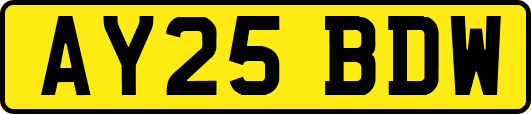 AY25BDW