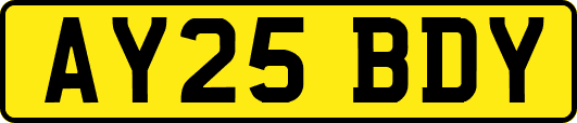 AY25BDY