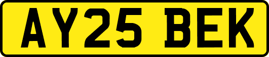 AY25BEK