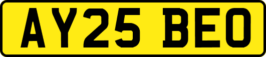 AY25BEO
