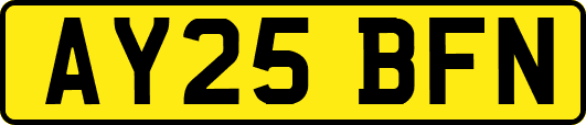 AY25BFN