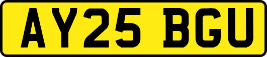 AY25BGU