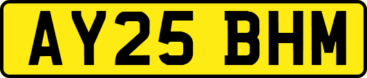 AY25BHM