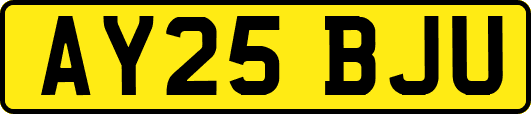 AY25BJU