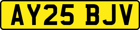 AY25BJV