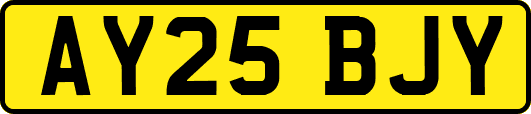 AY25BJY