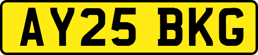 AY25BKG