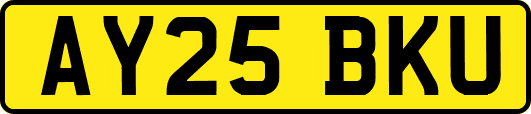 AY25BKU
