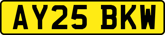 AY25BKW