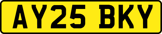 AY25BKY