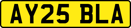 AY25BLA