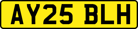 AY25BLH