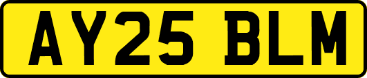AY25BLM