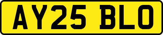 AY25BLO
