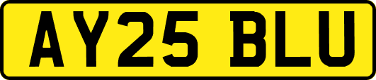 AY25BLU
