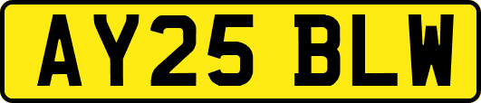 AY25BLW