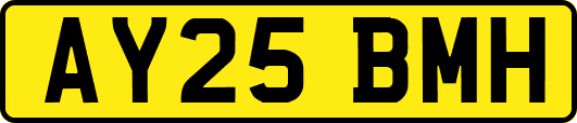 AY25BMH