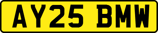 AY25BMW