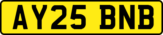 AY25BNB