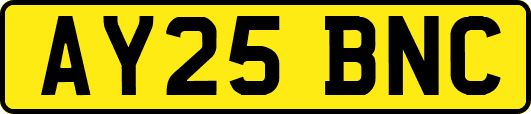 AY25BNC