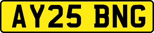 AY25BNG