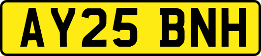 AY25BNH