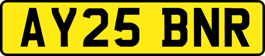 AY25BNR