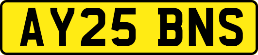 AY25BNS
