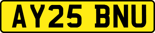 AY25BNU