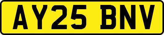 AY25BNV