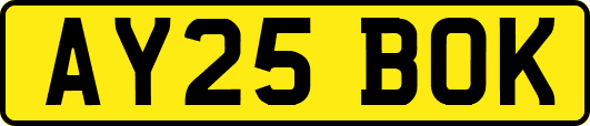 AY25BOK