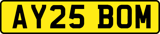 AY25BOM