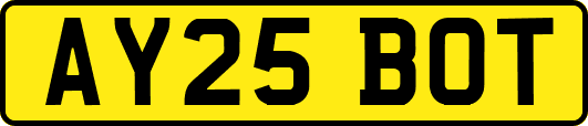 AY25BOT