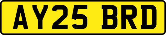 AY25BRD