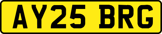AY25BRG
