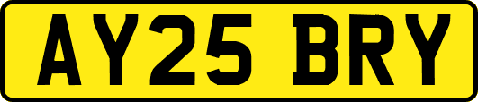 AY25BRY